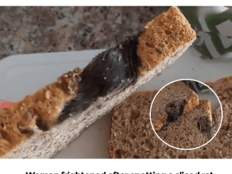 Woman frightened after spotting a sliced rat in her loaf of bread