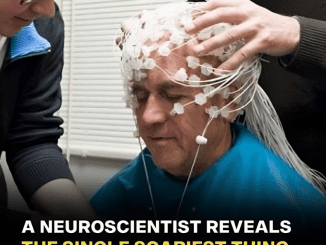 A Neuroscientist Talks About The Scariest Thing She Sees People Doing To Their Brains