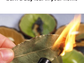 Here’s what happens if you burn a bay leaf in your home