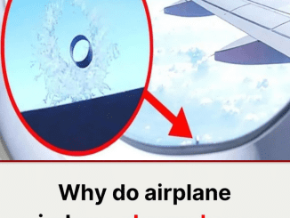 You’ve flown many times but maybe you still don’t know this!