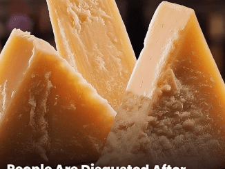 People Are Just Learning How Parmesan Cheese Is Made