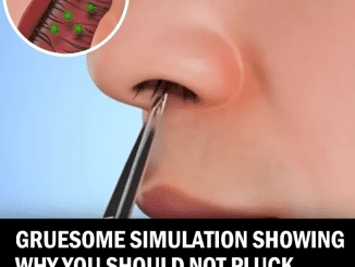 Scary Simulation Reveals Why You Shouldn’t Pluck Your Nose Hairs