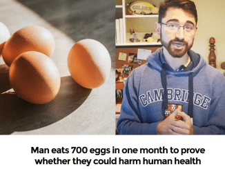 Man eats 700 eggs in one month to prove whether they could harm human health