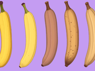 Which banana would you choose to eat? Your answer could effect your health