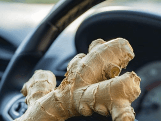 Put a ginger in your car for this potentially life-saving effect