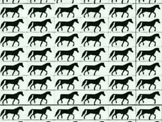 Can you identify any three-legged horses? See if you can find one or even several!