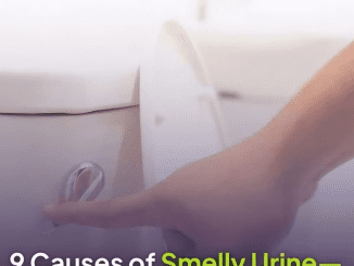 9 Reasons For Smelling Urine – and What To Do