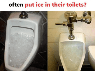 Restaurants and hotels often put ice in their toilets – What You Should Know!