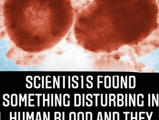 Scientists Found Something Disturbing In Human Blood And They Are Gravely Concerned