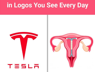 The Hidden Stories in Logos You See Every Day