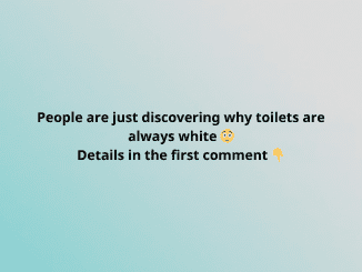 People are just discovering why toilets are always white