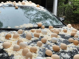 My Neighbor Threw Eggs at My Car Because It Was ‘Blocking the View’ of His Halloween Decorations