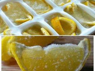 After You See What Happens, You’ll Freeze Lemons for the Rest of Your Life