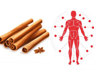 If you eat cinnamon everyday, this is the powerful effect on your body