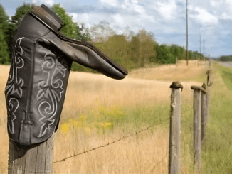 You should never touch a cowboy boot left on a fence – Here’s why