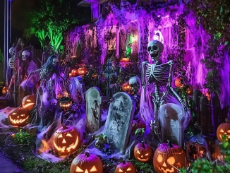 The Family Next Door Always Goes Overboard With Decorations On Halloween — Isn’t It Too Much?