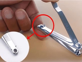 The “small round hole” on the nail clipper has special and powerful uses