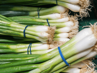 Trader Joe’s Recalls Green Onions Sold In 29 States Over Possible Salmonella Contamination