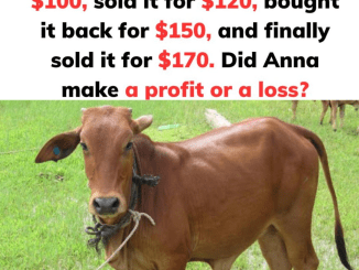 Discover the Profit Lesson from Anna’s Cow Buying and Selling Journey