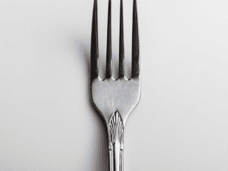 Does anyone know the name of these prongs and why there are 4 prongs in a fork?