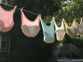 My Neighbor Kept Hanging out Her Panties Right in Front of My Son’s Window – So I Taught Her a Real Lesson