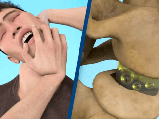 Horrifying simulation reveals how a neck – cracking habit could potentially kill you