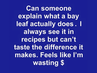 What Does a Bay Leaf Actually Do in Cooking. Exploring the Mystery of This Common but Elusive Ingredient