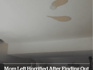 Mom left horrified after finding out the real reason dark patches were appearing on her ceiling