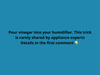 Pour vinegar into your humidifier. This trick is rarely shared by appliance experts.