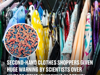 Second-hand clothes shoppers given huge warning by scientists over vintage items ‘swimming in germs’