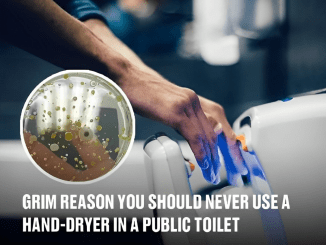 Grim reason you should never use a hand dryer in a public toilet