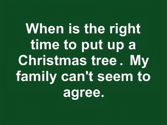 When is the right time to put up a Christmas tree. My family can’t seem to agree.