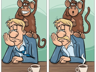 Discover the Seven Subtle Differences in These Fun Images