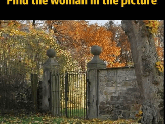 There is a woman in this picture, you have to be very sharp to see her