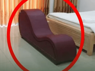 Hotels and motels often put this sofa in the room to…