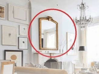 Don’t let these 3 things appear in your house, or you’ll be unlucky