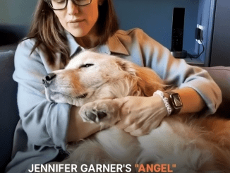 Jennifer Garner Mourns the Loss of Her Pet, Calling Her ‘Angel Girl,’ Just One Day Before Thanksgiving